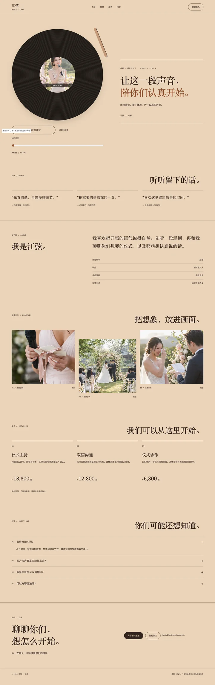 黑胶 Vinyl电脑页面预览