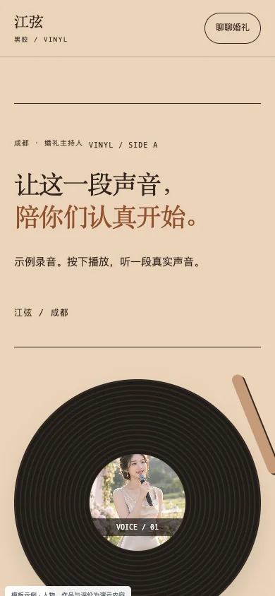 黑胶 Vinyl手机页面预览
